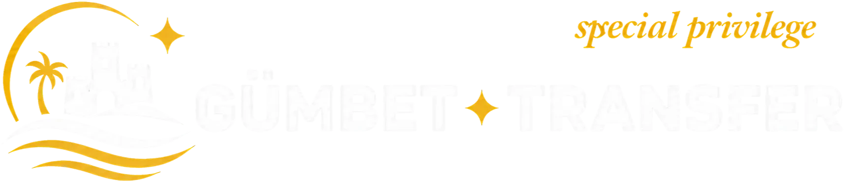 Footer Logo